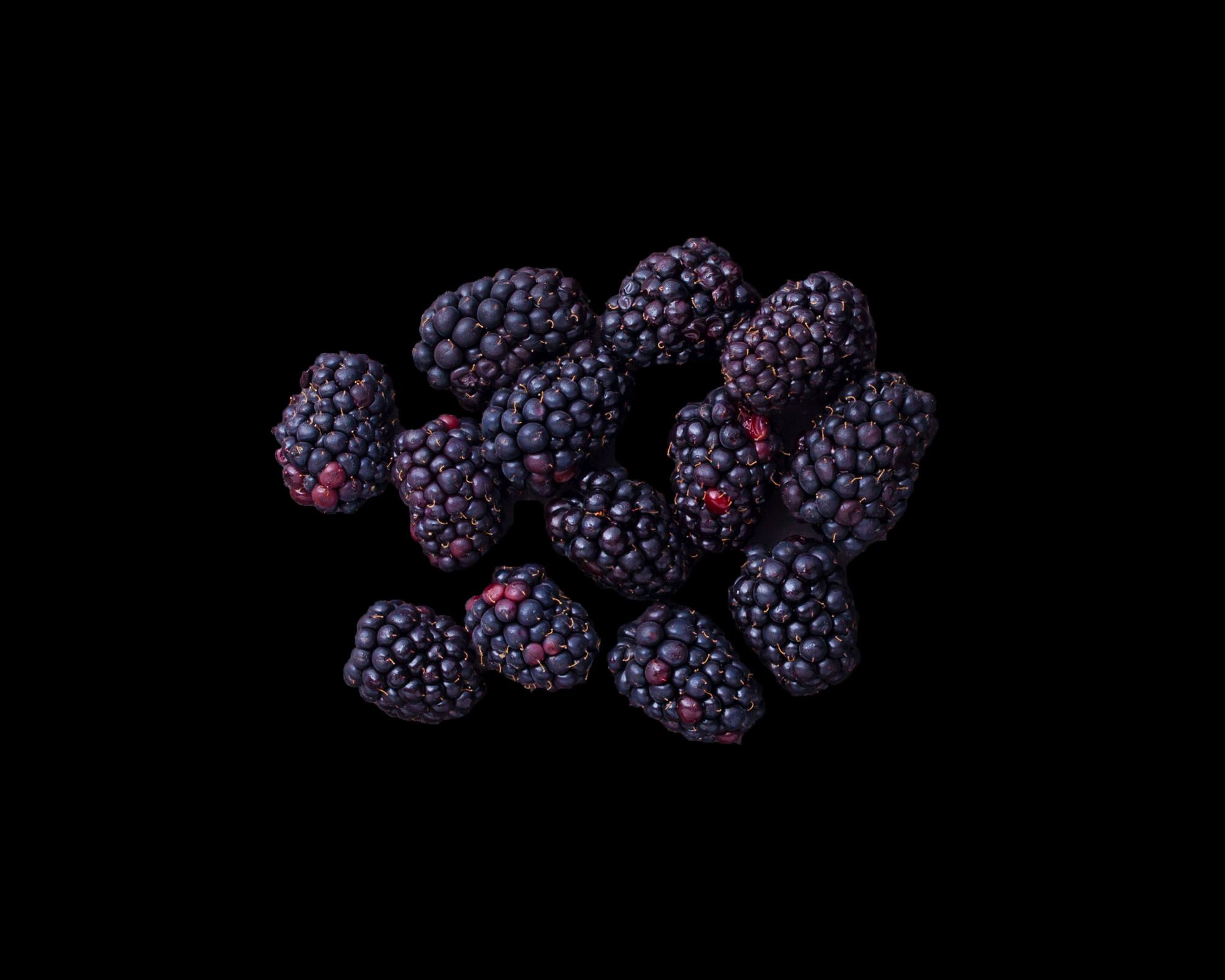 Blackberries Serving Size 24 — Brava Brava Home