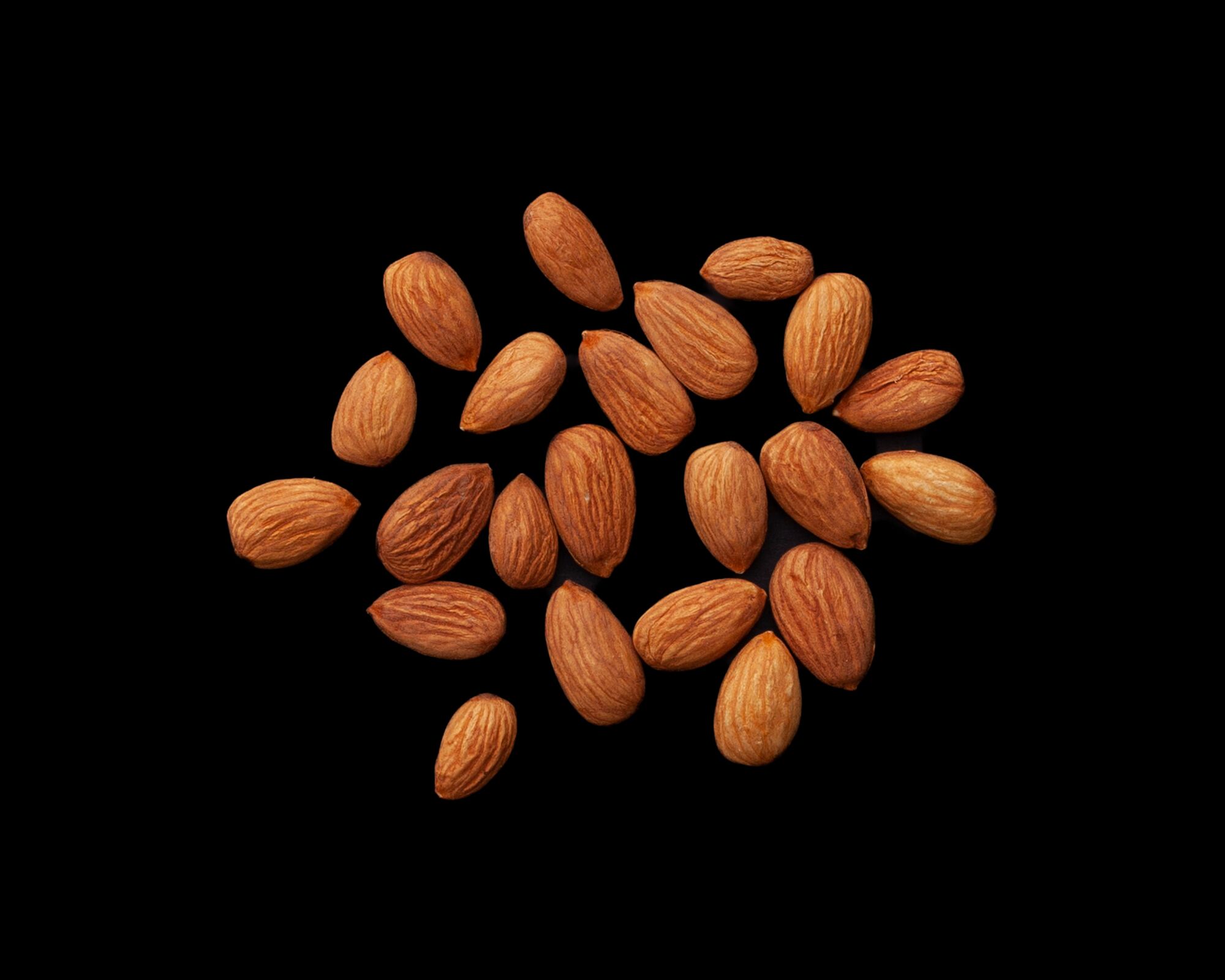 Almonds (SkinOn) Serving Size 24 — Brava Brava Home