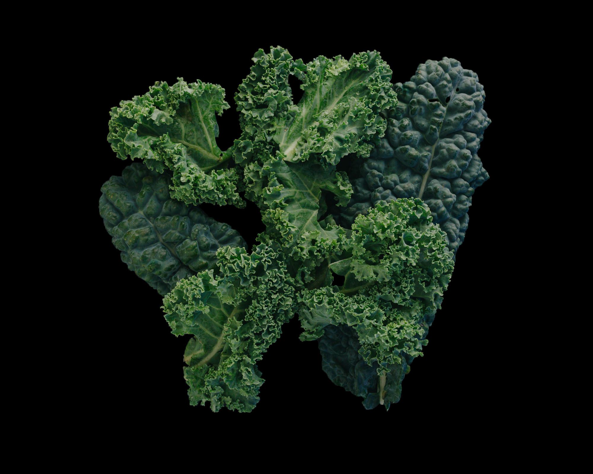 Sautéed Kale Serving Size 24 — Brava Brava Home
