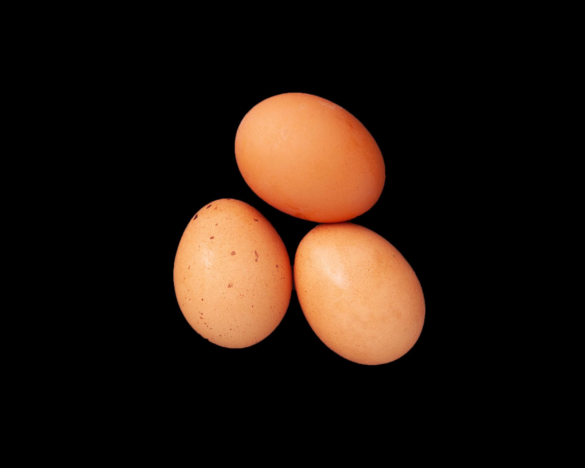 Hardboiled Eggs Accessory Loaf Pan — Brava Brava Home