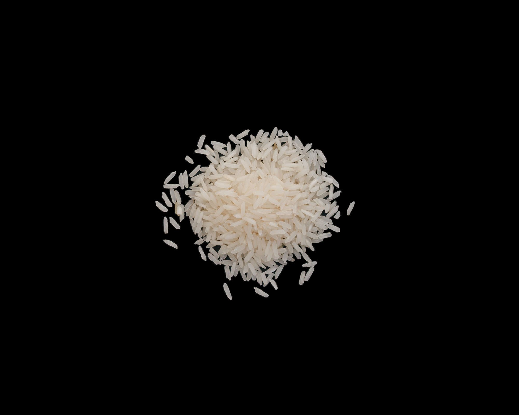 Jasmine Rice Quantity 1 Cup Dry Rice — Brava Brava Home