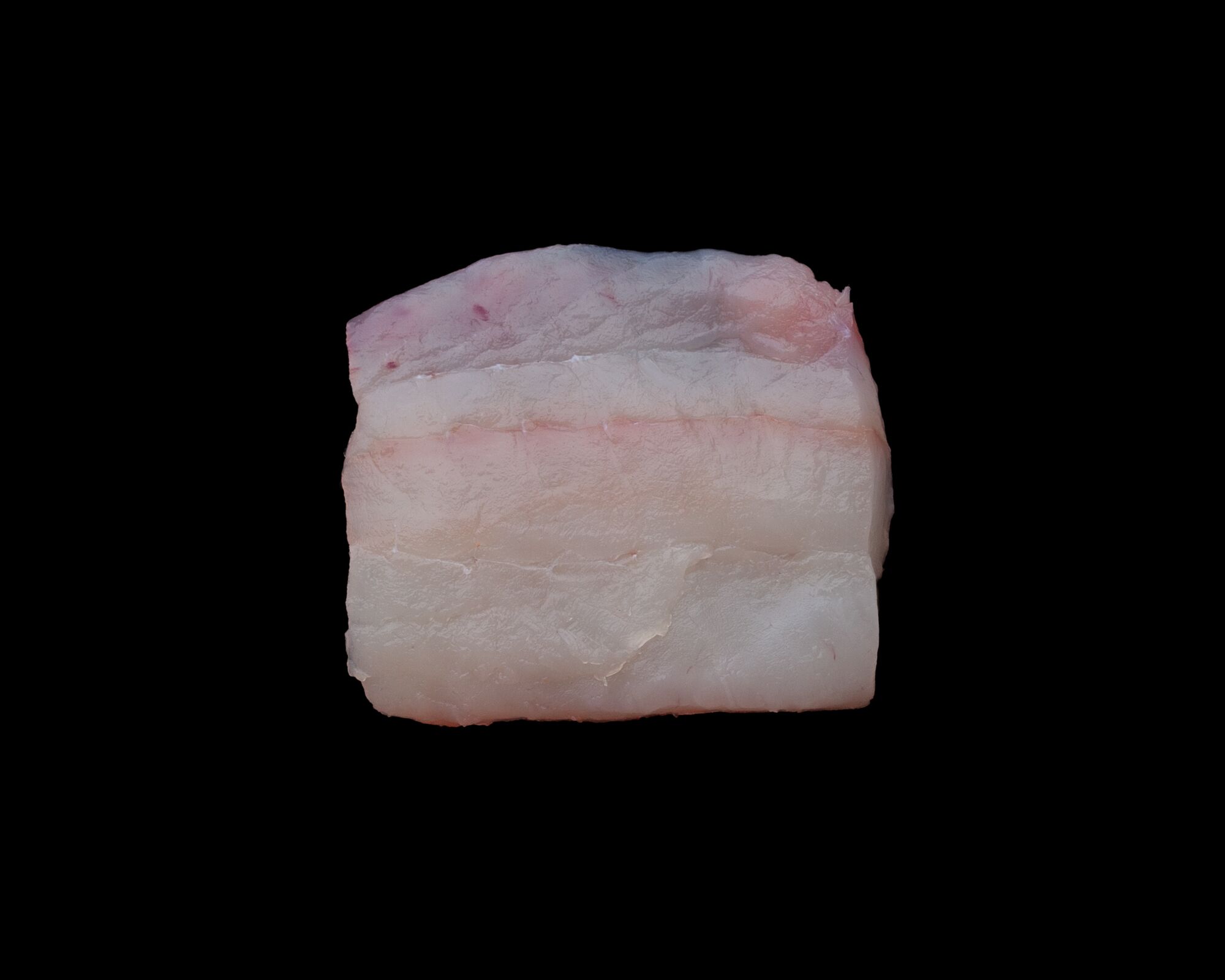 Halibut Serving Size 24 — Brava Brava Home