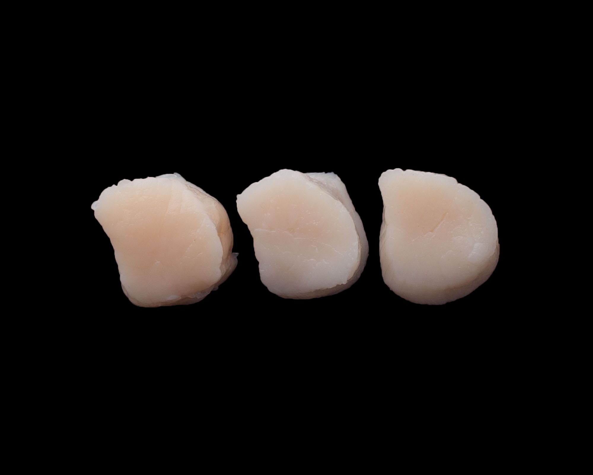 Scallops Cut Medium (1020 per pound) — Brava Brava Home